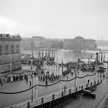Slottsbacken och Skeppsbron. Gustav V:s 85-årsdag, 16 juni 1943. I fonden Blasieholmen med Nationalmuseum