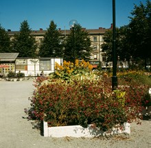 Planteringar i Kungsträdgården öster om fontänen. I bakgrunden restaurang 7 sekel