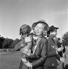 Kennelklubbens utställning. Skådespelerskan Sylva Åkessons jägartax ""Petit"" vann första pris i tävlingen ""vackrast skådespelarhund""