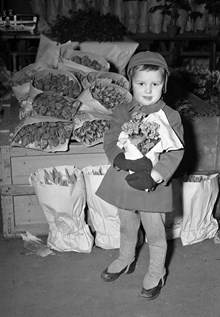 Klarahallen. 3-åriga Sven Malmberg med en bukett blommor i famnen