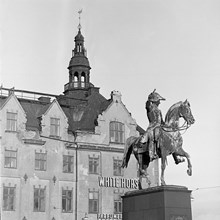 Statyn av Karl XIV Johan. Räntmästarhuset i fonden