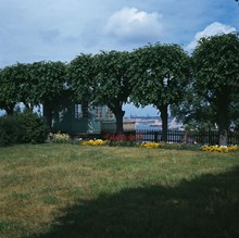 Lusthus, blommor och träd i Fåfängan. Vy in mot stan