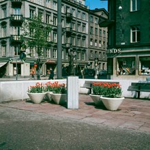 Tulpanplanteringar i Karlavägsallén vid hörnet av Sibyllegatan. Skulptur av Ebba Ahlmark-Hughes med titeln: Kvinna med handspegel