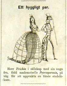 Ett hyggligt par. Bildskämt i Söndags-Nisse – Illustreradt Veckoblad för Skämt, Humor och Satir, nr 6, den 11 februari 1866