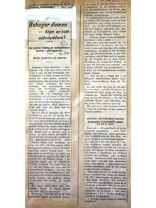 "Behagar damen – köpa en hattnålsskyddare?"  - artikel Vårt Land 1913