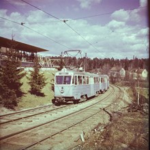 Spårvagn på linje 19 vid Svedmyra 1951