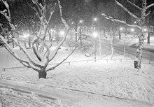Snöigt Humlegården upplyst på kvällen