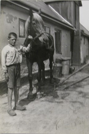 Ett barn håller en häst vid tömmen
