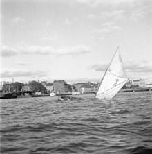 Riddarfjärden mot Klara Mälarstrand och Tegelbacken. Sjöscouternas seglingstävling. En båt har kapsejsat