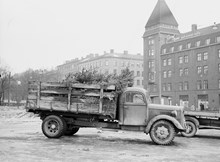 Norra Bantorget mot Vinterpalatset. En lastbil med julgranar i samband med julgransförsäljning på torget