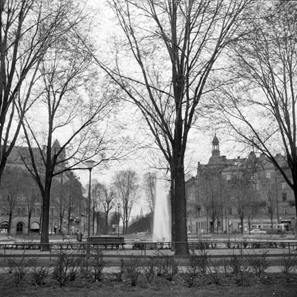 Karlaplans fontän med kala träd i förgrunden.