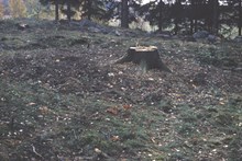 Brandgrav, anläggning nummer 44, fornlämning RAÄ 143 i Spånga socken