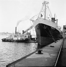 SS Starkgrogg, pontonkran och SS Monita i Stadsgården