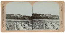 Stereofotografi Eugeniahemmet 1901