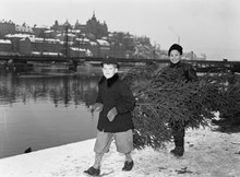 Munkbroleden/Kornhamn, kajkanten, vy mot sydväst. Pojkarna Hans Hertsjö och Lars Jansson bär en julgran från försäljningen på Kornhamnstorg