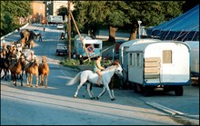 Cirkus Scott 1972. Parad med hästar och elefanter