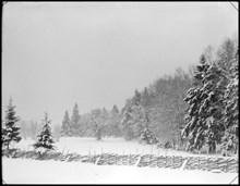 Vinterbild från Lindarängen