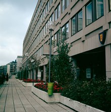 Planteringar på Stockholmsterrassen