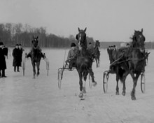 Travtävling på Brunnsviken (1920)