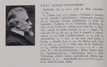 Knut Agaton Wallenberg. Ledamot av stadsfullmäktige 1883-1914