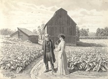 En herre och dam vid tobaksplantering 1907