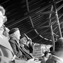 Publik på Stadions läktare