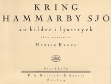 Kring Hammarby sjö : 20 bilder i ljustryck / efter original av Henrik Krogh