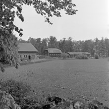 Odlingsmark och ladugårdar vid Riddersvik