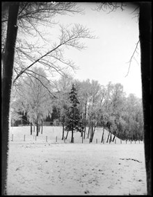 Vinterbild från Sophiahemmet