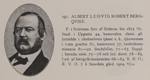 Ludvig Bergqvist. Ledamot av stadsfullmäktige 1871-1885