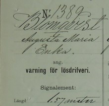 Änkan Augusta Maria Blomquist, 40, varnad för lösdriveri 8 november 1886 - polisförhör
