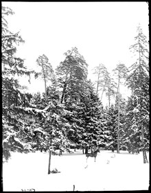 Uggleviken vid Lill-Jansskogen vintertid