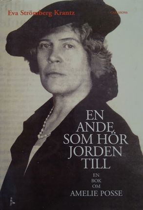 Omslagsbild En ande som hör jorden till