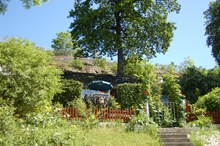 Träd genom hus i Tantolunden