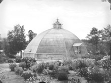 Viktoriaväxthuset i Bergianska trädgården