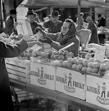 Fruktförsäljning på Hötorget. En torgmadam med sjalett står vid en rad äppellådor med texten ""Kiviks frukt""