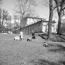 Hagaparken, Gustav III:s paviljong. Två kvinnor promenerar med barnvagnar