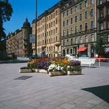 Blomsterarrangemang på Odenplan. Café Tranan i bakgrunden