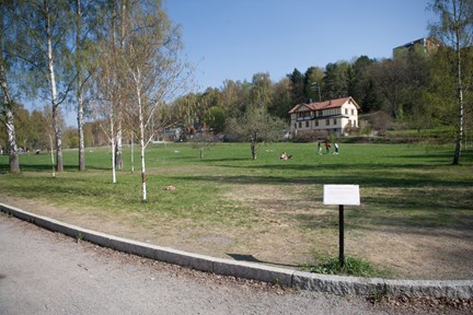 Mats Wahls litterära skylt i vid Vinterviksvägen 72, i kanten av ett grönt fält.