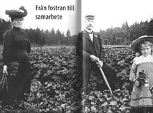 Från fostran till samarbete - Stockholms kolonirörelses historia / Karine Mannerfelt och Ann Eriksson