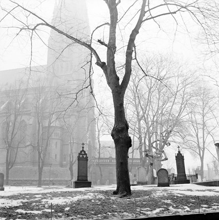 Gravstenar och ett träd i dimma, Johannes kyrka i bakgrunden.