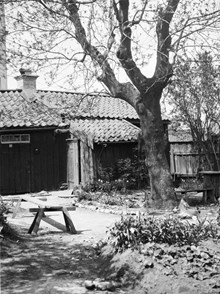 Gårdssidan av ett hus på Åsöberget
