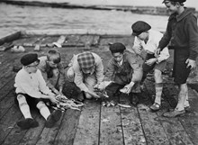 Några pojkar går igenom fiskefångsten på en brygga vid Slussen