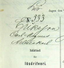 Arbetskarlen Carl Magnus Eriksson, 68, häktad för lösdriveri 4 september 1886 - polisförhör