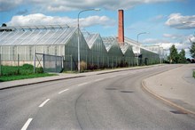 Växthus vid Sandviksvägen i Hässelby Villastad