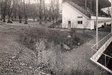 Vegetation kring åskådarläktaren, Kristinebergs Idrottsplats, november 1936