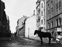 Styrmansgatan norrut. Från Riddargatan kommer en häst med kärra. T.h. ligger Styrmansgatan 12 byggt år 1900