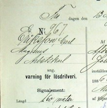 Arbetskarlen Carl Magnus Eriksson, 68, varnad för lösdriveri 13 augusti 1886 - polisförhör
