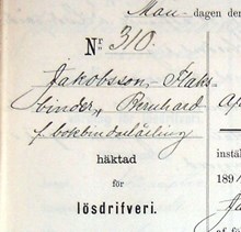 F.d. bokbindarlärlingen Bernhard Jakobsson-Flaksbinder, 27, häktad för lösdriveri 22 juni 1891 - polisförhör