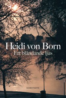 Ett bländande ljus / Heidi von Born